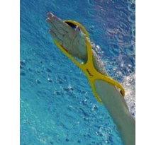 FOREARM FULCRUM PADDLES FOREARM FULCRUM PADDLES